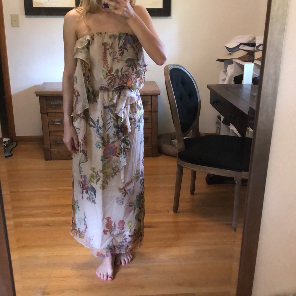 Haute Hippie silk maxi dress